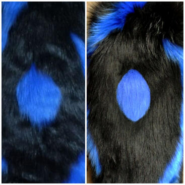 Trimming before-after